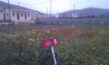 Around Olympos